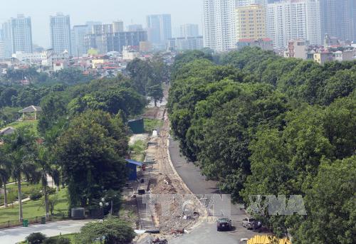 Hà Nội di chuyển, cắt tỉa hơn 1.200 cây xanh để giải phóng mặt bằng 